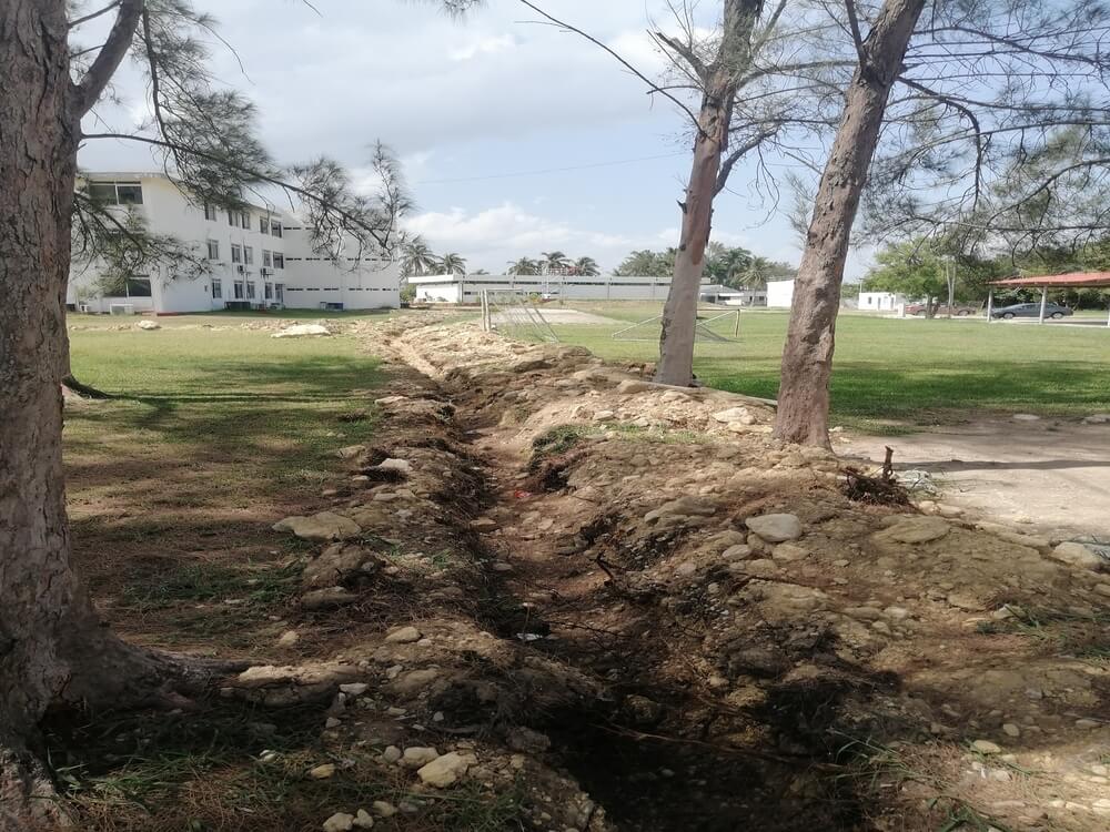 Realización de registros